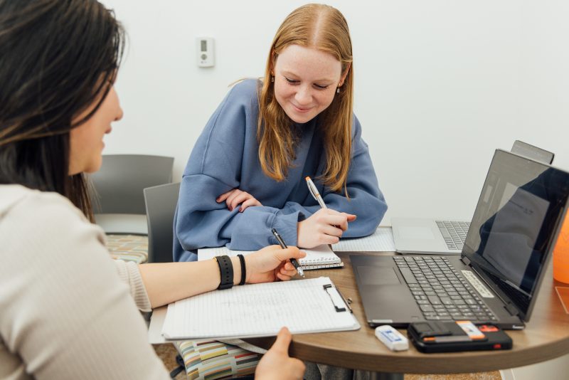 students studying at desk